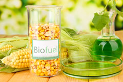 Winterbourne Bassett biofuel availability